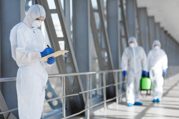 Best Attic Mold Removal  in Uintah, UT