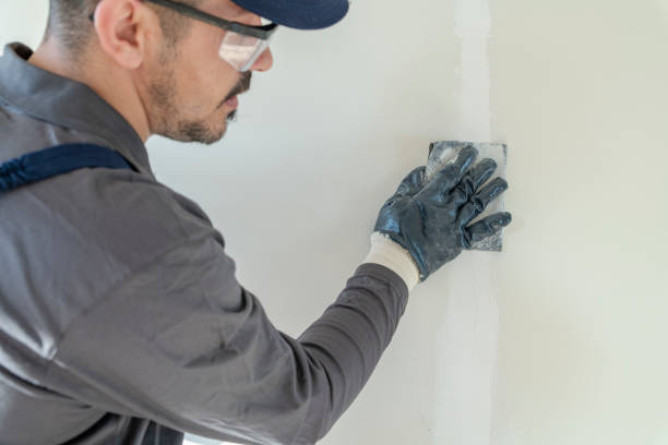Reliable Uintah, UT Mold Removal Solutions